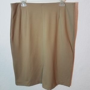 Tan Stretch Skirt